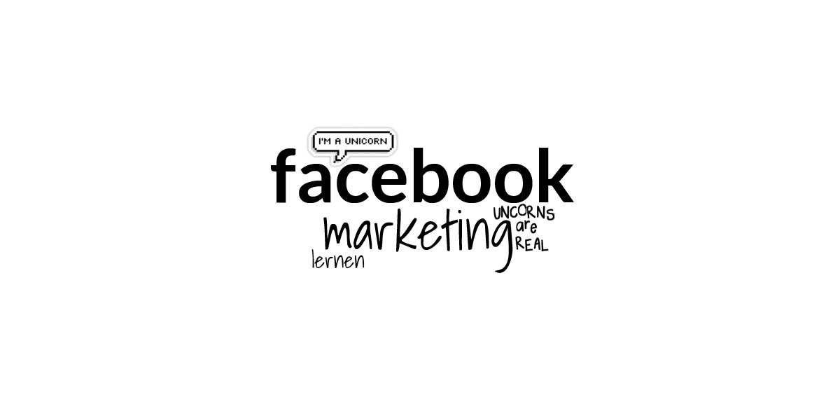 facebook-marketing-hilfe-social-media-online-kurs-empfehlung-retargeting-fanseite-werbung-ads